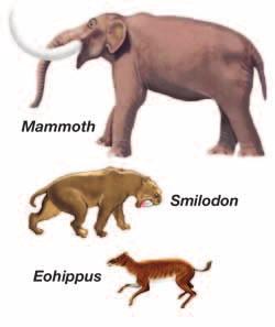 CHAPTER 9: EARTH AND TIME The Mesozoic Era to the present Mesozoic Era Cenozoic Era to the present The Mesozoic Era lasted from 251 to 65 mya. Mesozoic is a Greek word meaning middle life.