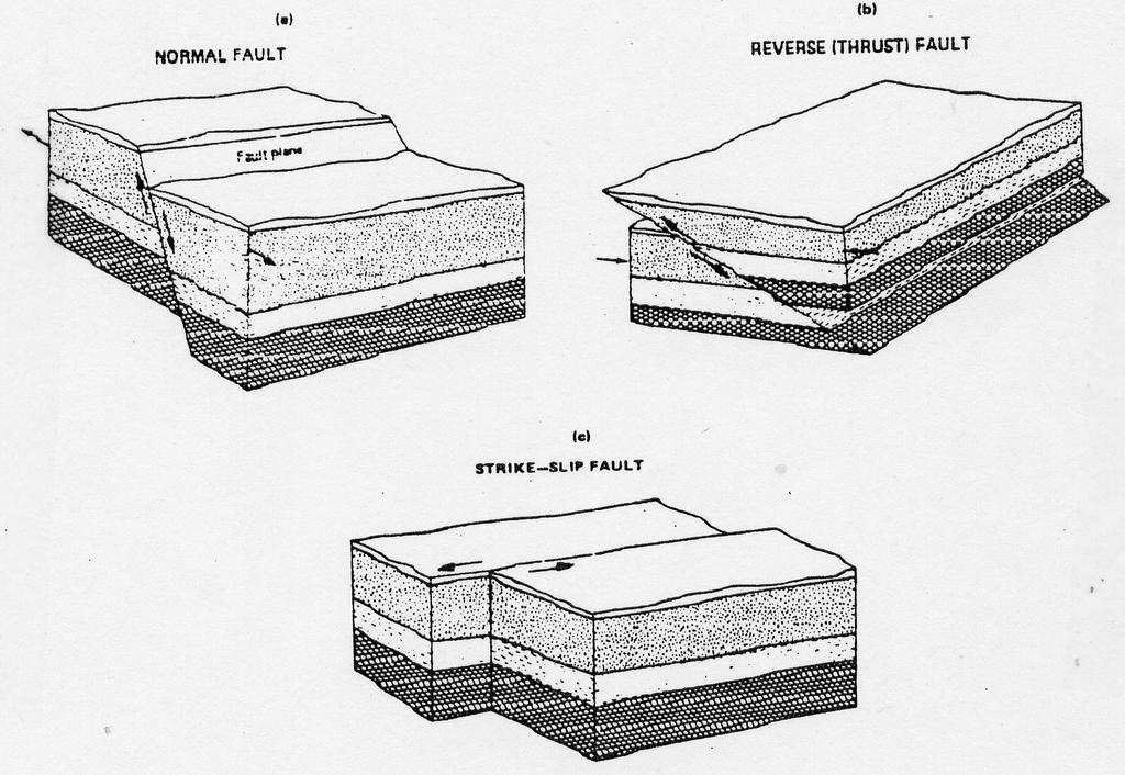 4. Fill in the table below (recall that the types of plate boundaries are convergent, divergent and