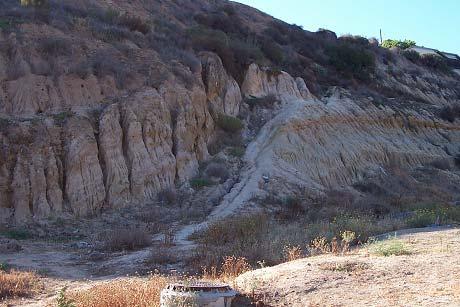 San Diego Formation Pleistocene Rock Relative Movement Feature: Fault Location: Paradise Hills, CA N 32 40.008 W 117 03.