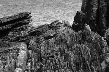 Siccar Point, Scotland Devonian Old
