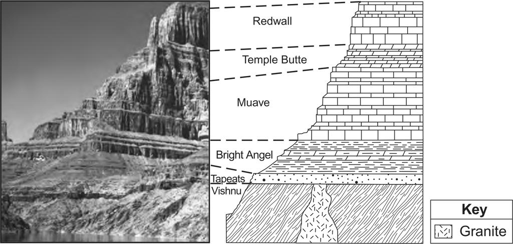 The rock layers have not been overturned. t which location is quartzite most likely found?... D. D The sequence of rock layers in the cross section provides evidence that the Muave formation is.