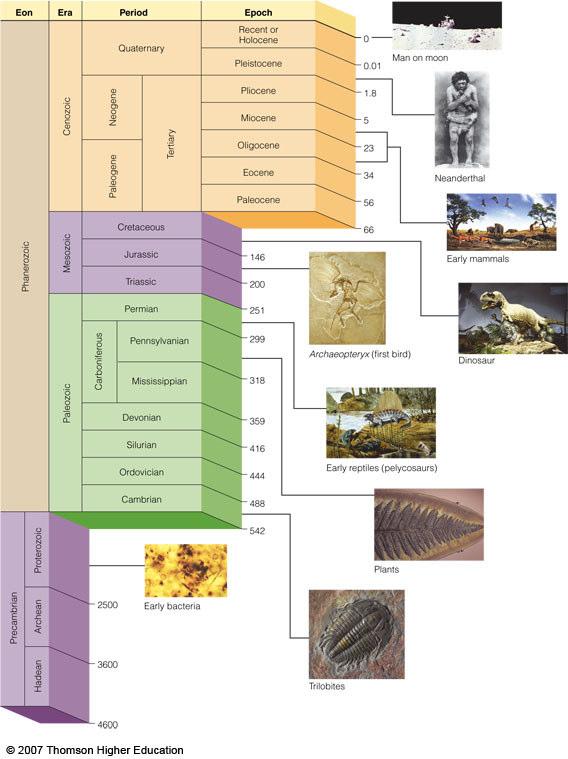 Geologic time on Earth A world-wide relative time scale of Earth's rock record was established by the work of many geologists, primarily during the 19 th century by applying the principles of