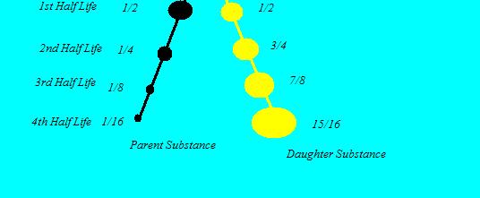 Radiometric Dating- Proportion of Parent to Daughter Isotopes To get amount of parent material for