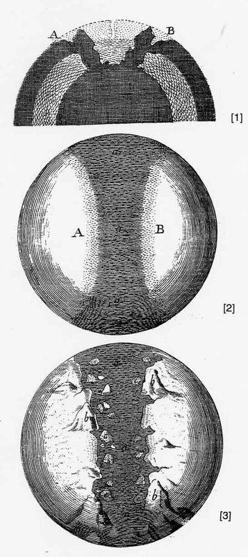 Neptunism This theory accepted the formation of the earth and continents as supposed by Thomas Burnett It was slightly transformed to