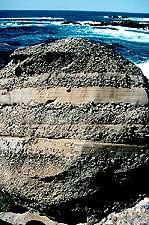 . (75%) Sedimentary Rocks Sedimentary rocks are rocks that are made