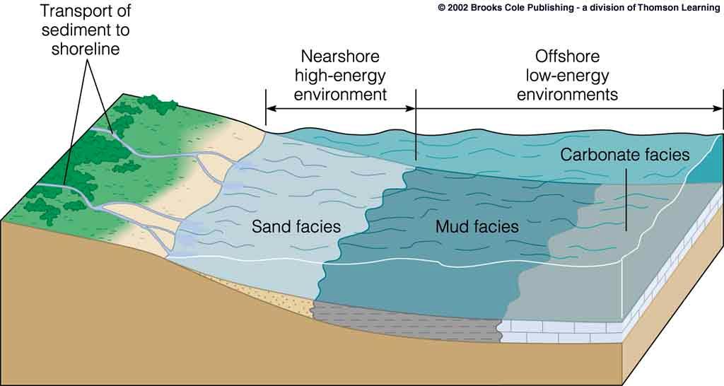 Sedimentary Facies: Deposits of sediment that have distinctive physical, chemical, or biological attributes - Coarse-grained deposits in a high-energy depositional environments are