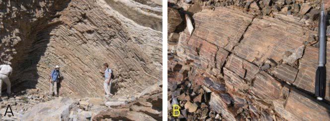 Chert (Radiolarites) Cretaceous Hawasina Group, Oman A: radiolarite. B.spiculite, C. lutecite, D.