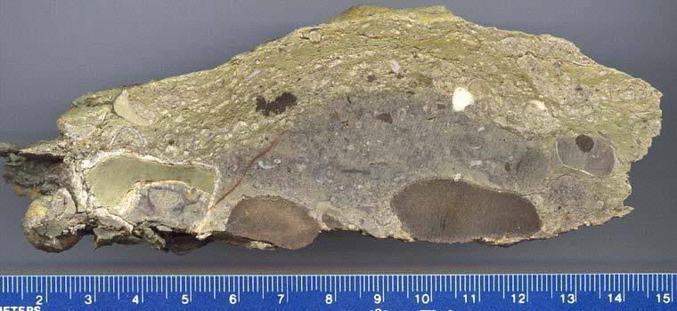 lens with phosphate nodules (from bioclastic shale