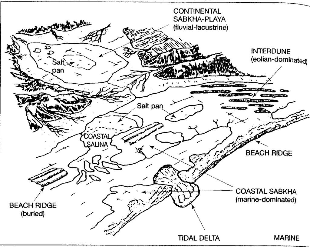 Miocene Marine and non-marine Marine - thicker
