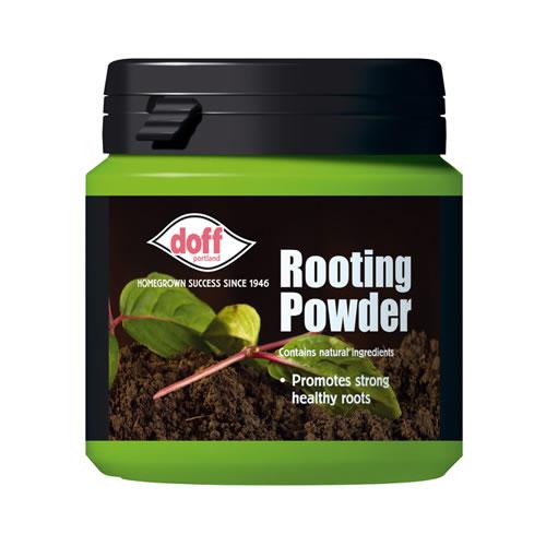 Rooting Powders Contain synthetic growth promotors such as NAA.