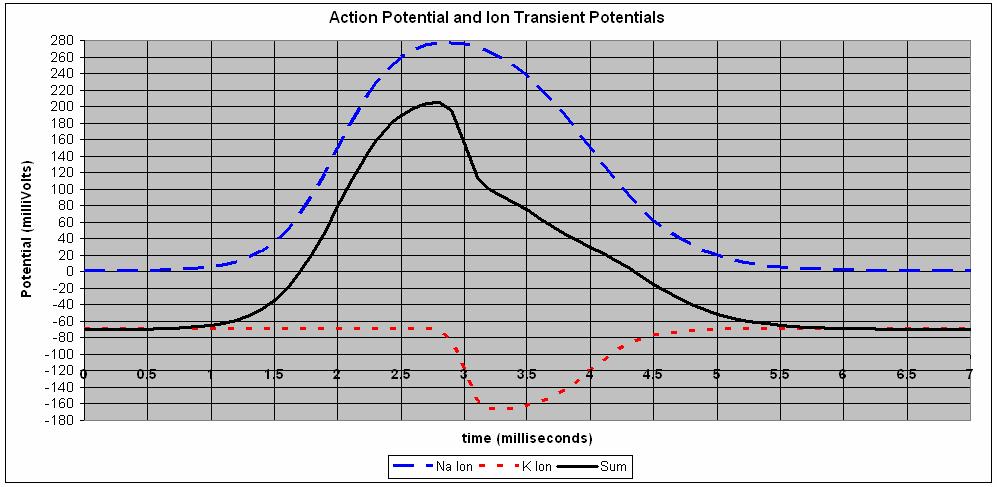 One can create many different shapes for action potentials by varying the ten parameters in the equation. Figure 3 