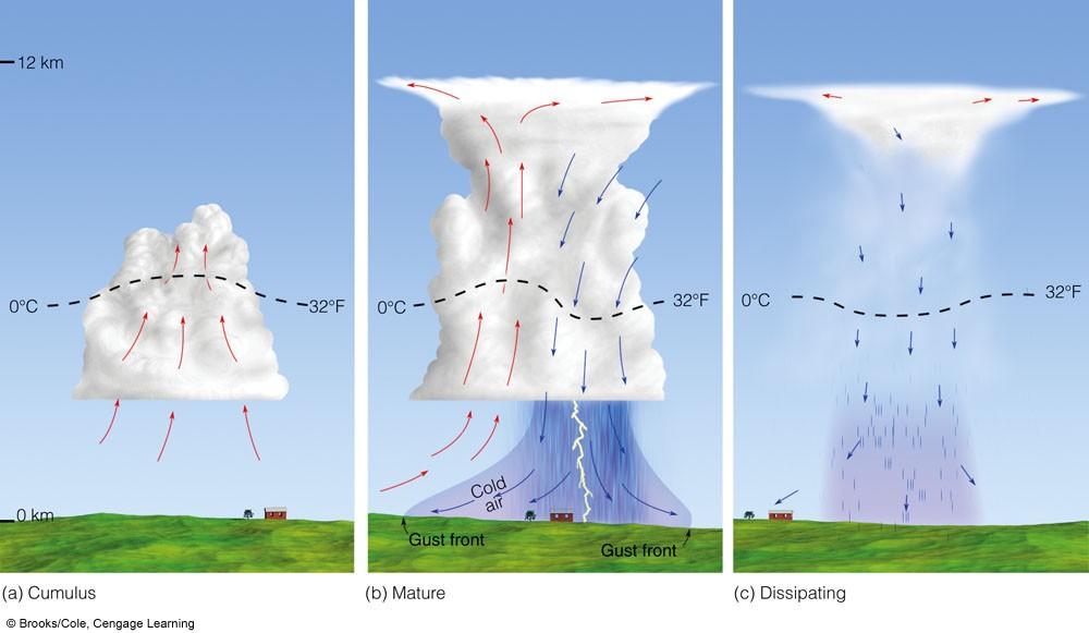 Life cycle of a single-cell storm: Growth stage: air parcels lifted to saturation by some trigger process. Clouds build into towering cumulus.
