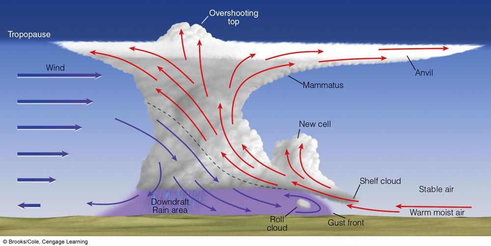 Maintenance of a multicell storm: The key to multicell longevity is the spreading gust front As the gust front spreads it lifts warm air,
