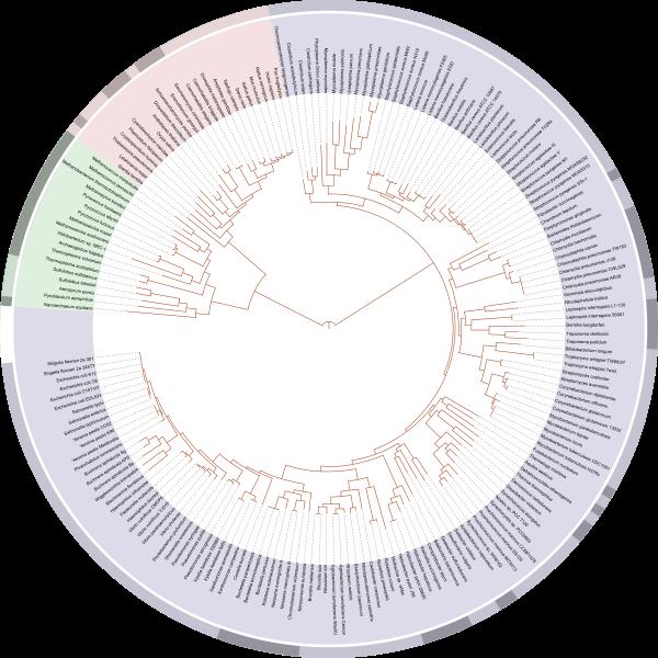 There are lots of Web resources for exploring the tree of life