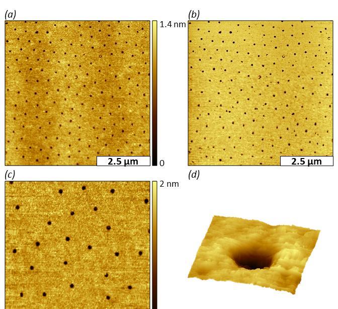 Figure 6.4 Nanopores within an OTS film produced with immersion particle lithography on Si(111). (a) Contact-mode topograph acquired in air; (b) concurrently acquired lateral force frame for a.