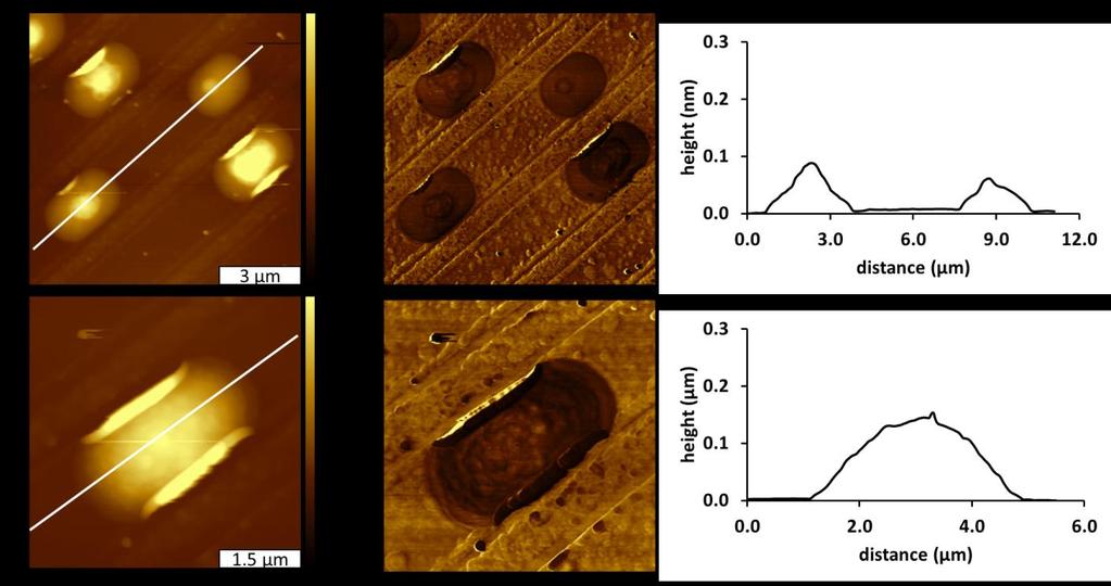 Figure E2 Microparticles of erbium-doped Y 2 O 3 prepared from capillary filling after heating, imaged by contact mode AFM in air.