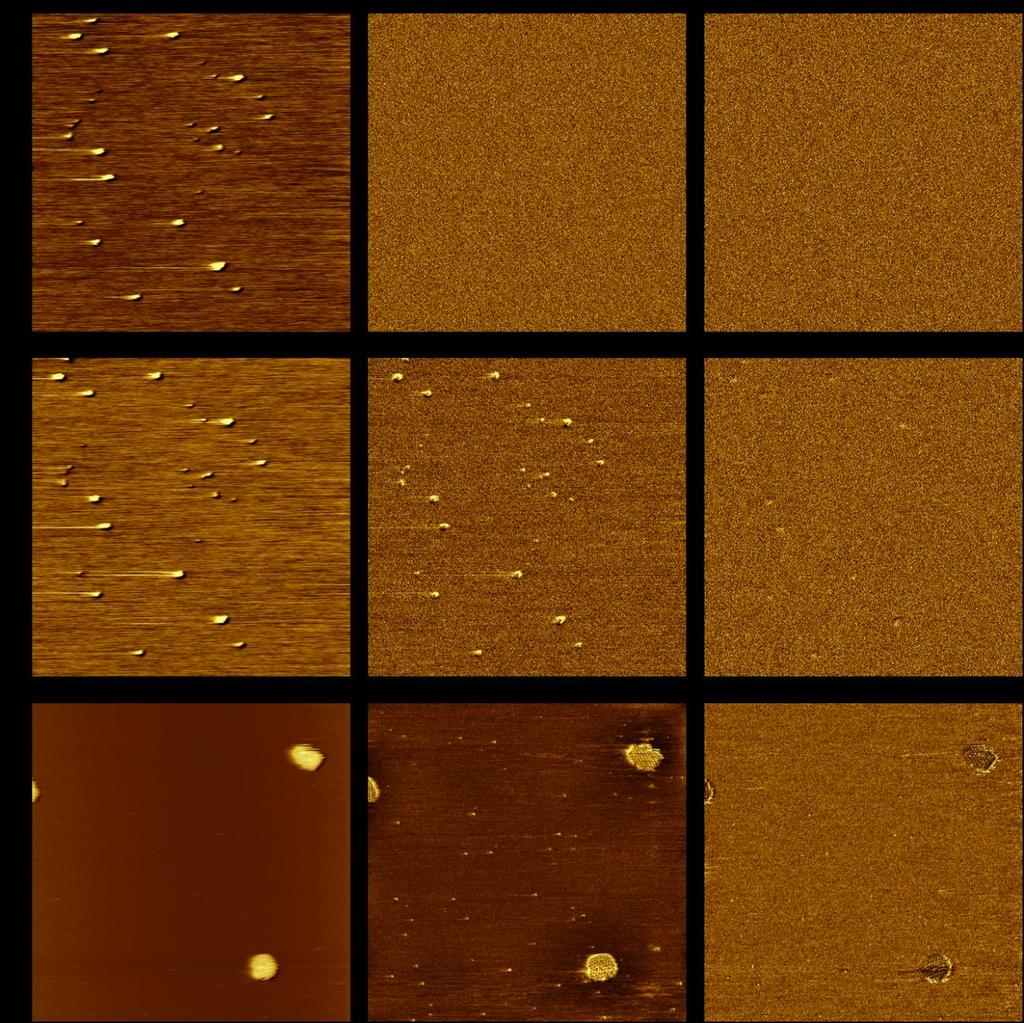 Figure 4.8 Magnetic sample modulation (MSM) images of iron oxide nanoparticles.