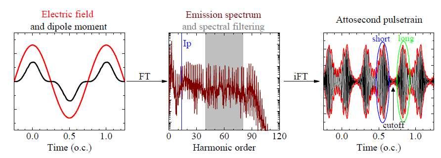 Harmonic spectrum Harmonics are emitted as a result of the dipole oscillations Fourier transform of the dipole