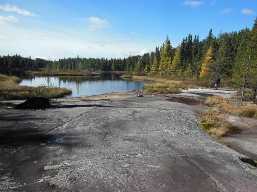 Glacial pavement, muskeg and pine forest.