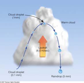 concentrations as high as 900 cm -3 Differences reflect higher concentrations of CCN in continental air Effects of cloud condensation nuclei Marine and continental cumulus cloud LWCs are about the