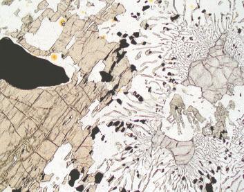 (Note the associated orthopyroxene sillimanite assemblage in the matrix.