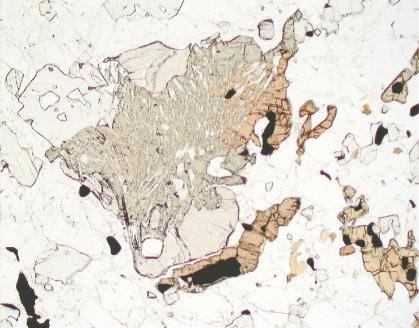 JOURNAL OF PETROLOGY VOLUME 45 NUMBER 9 SEPTEMBER 2004 Fig. 5. Photomicrographs of retrograde textures identified from all four rock types.