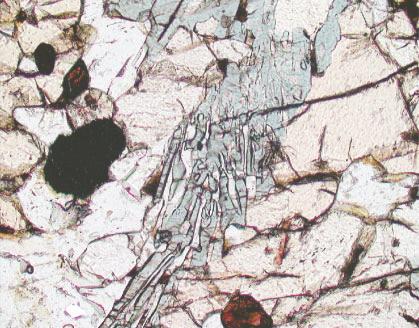 (d) Photomicrograph of sapphirine cordierite plagioclase symplectite formed in the grain boundary of garnet porphyroblast.