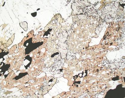 ) (h) Similar texture of orthopyroxene sapphirine spinel symplectite observed in Type D samples.