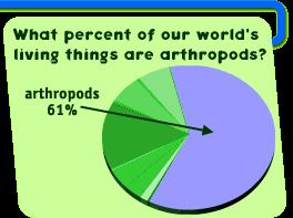 Arthropoda Earth s most diverse phylum Billions