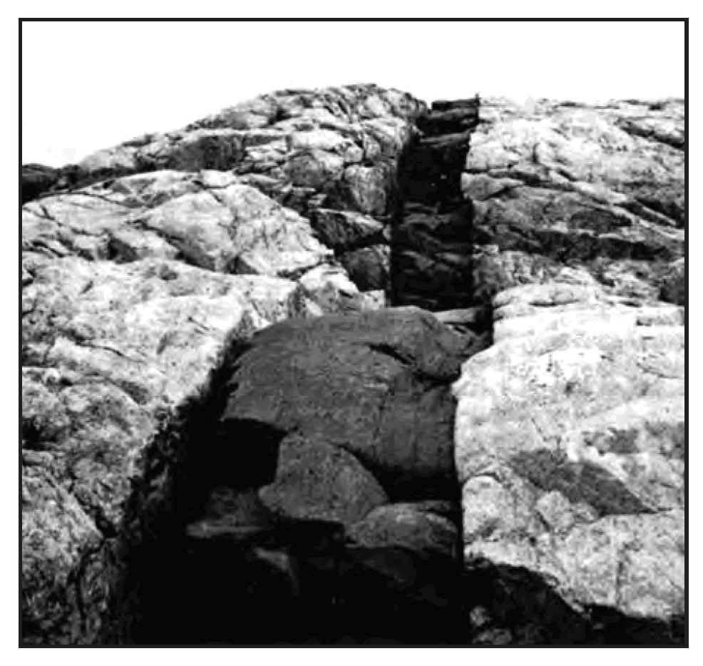 33. The photograph below shows an outcrop where a light-colored, igneous rock is cross cut by a dark-colored, igneous rock.