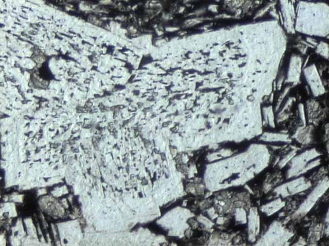 Figure 3.11a. Sieve texture in a cumulophyric cluster of plagioclase phenocrysts.