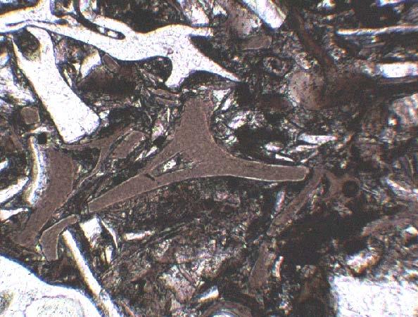 3-pointed-star-shaped glass shards in ash containing pulverized pumice.