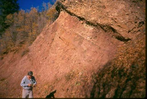 Alluvial and coastal conglomerates: their significant features and some comments on