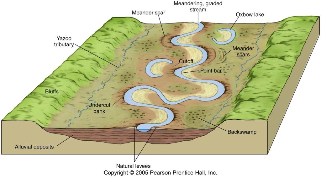 Meandering Rivers Are characterized by a distinct suite of facies and