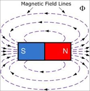 Magnetic Field LInes Magnetic field lines leave at the