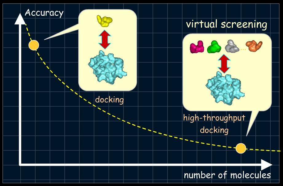 Virtual Screening When the goal of docking is to dock all the compounds of a library (the molecules being available or not yet synthesized), the process is called