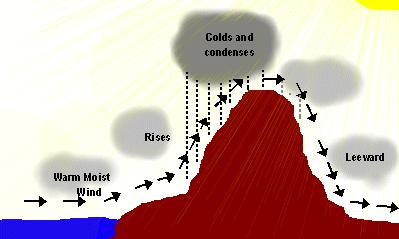 5. Elevation Mountains can force moisture laden air to rise and cool and drop