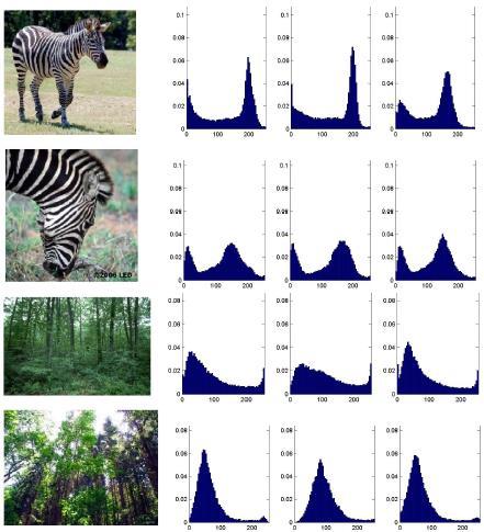 Object Recognition based on Colour Histograms Colour histograms are discrete approximation of the colour distribution of an image.