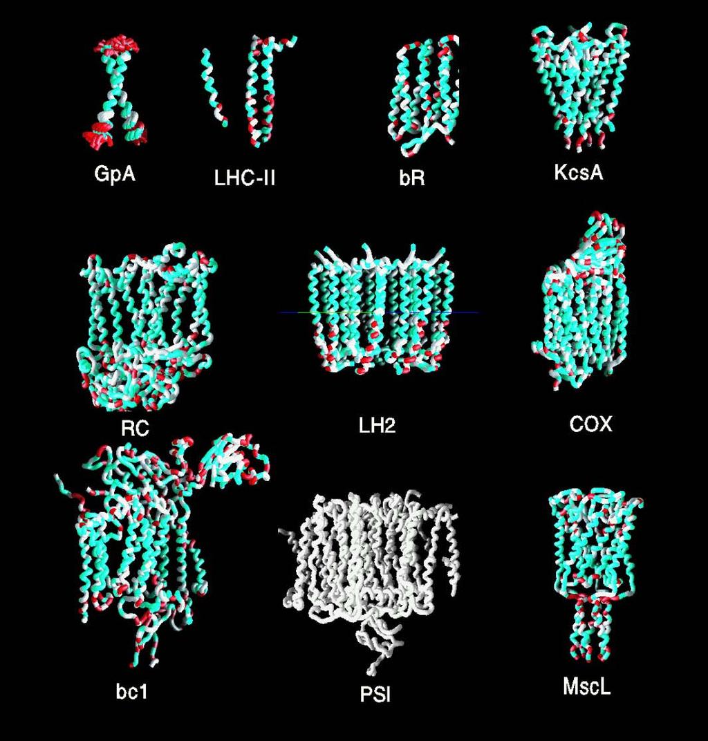 Examples of Known Alpha- Helical Proteins Often