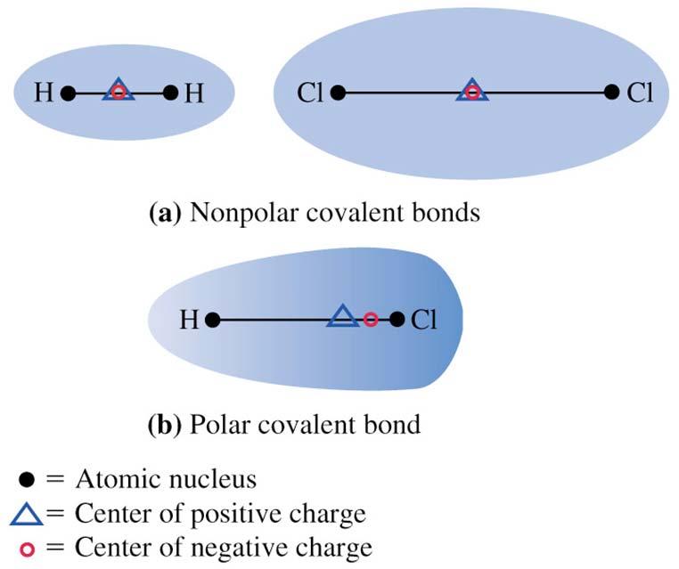 Polar Covalent Bonds δ+ δ-