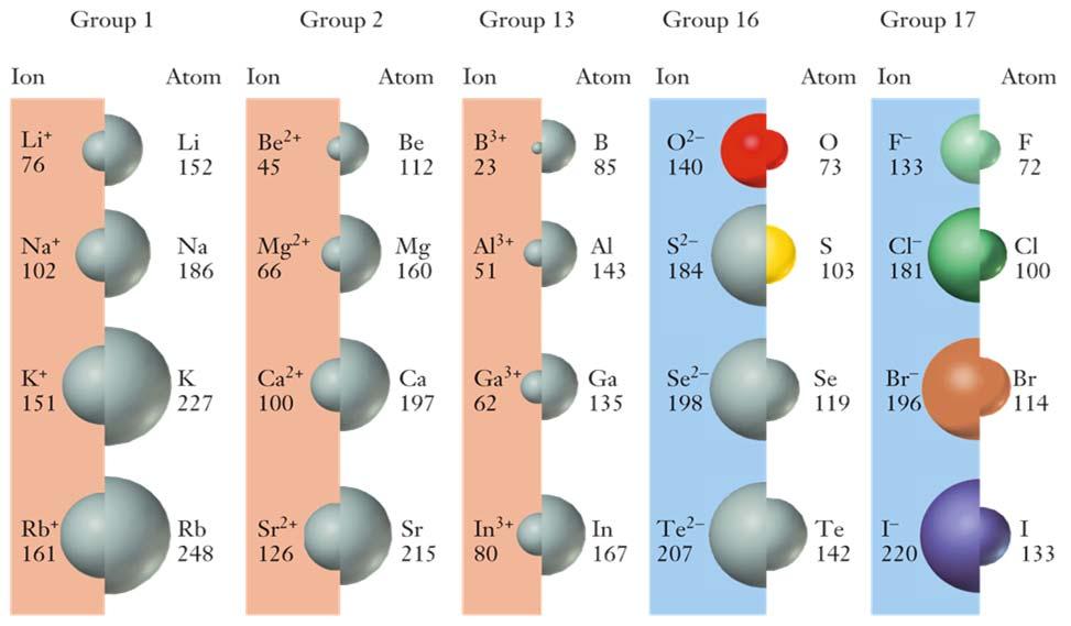 Formation of Anions Nonmetals have negative electron affinities and generally form anions with an np 6 electronic configuration. Anions are larger than their corresponding neutral atoms.