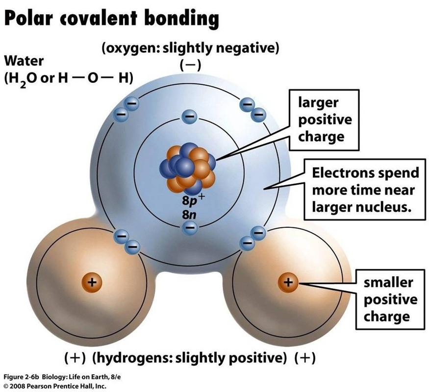 electrolytes Typically soft Types of Covalent Bonds