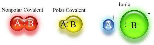 BOND POLARITY There is no sharp dividing line between ionic and covalent bonding: The greater the