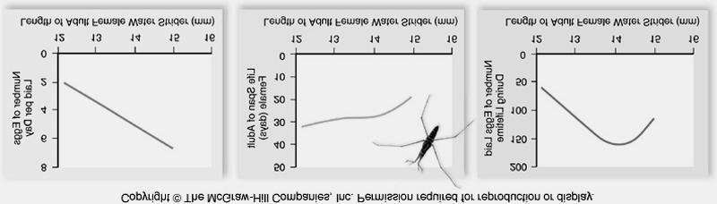 Fitness & its Measurement Body size & egg-laying in water striders 39 Interactions Among Evolutionary Forces