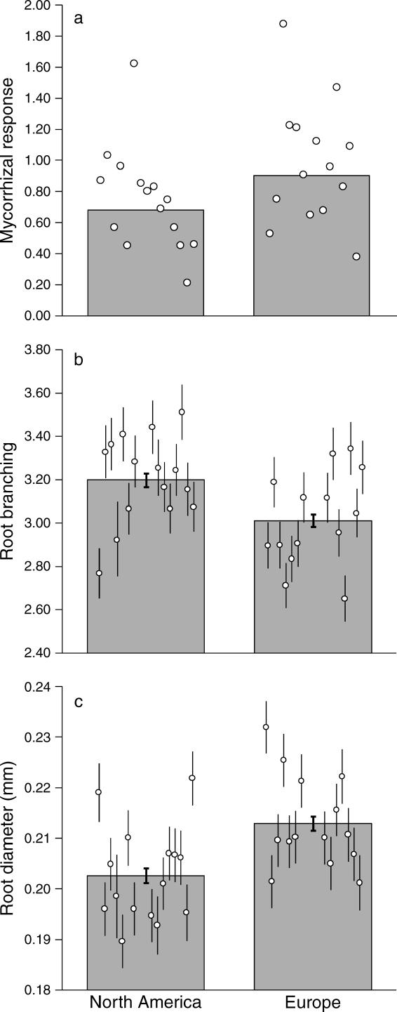 April 2009 REDUCED AMF DEPENDENCE DURING INVASION 1059 individual plant species can vary depending on AM fungal species (Bever 2002, Klironomos 2003), such specificity of plant response does not