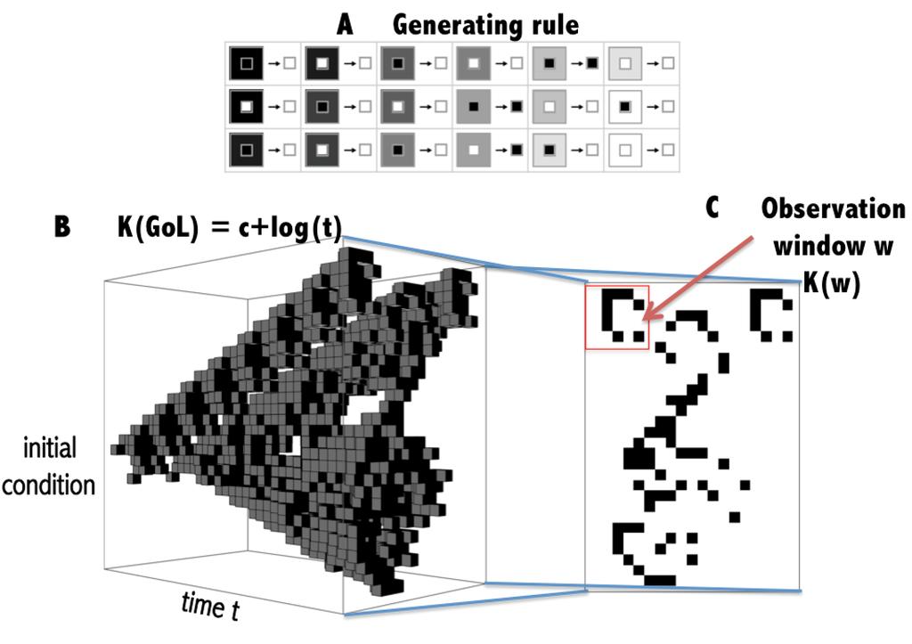 Figure 1: The algorithmic complexity of an observation.