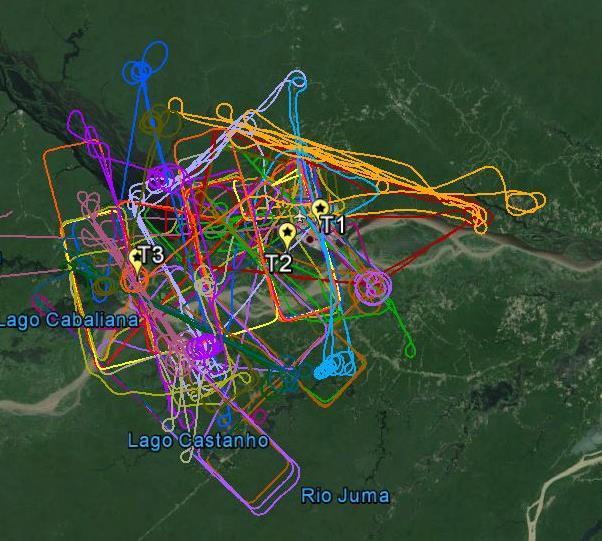 G-1 Flight Paths during GoAmazon Phase 1