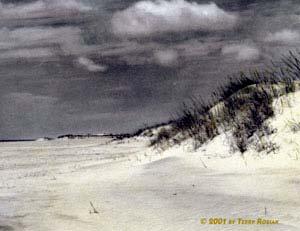 Deltas Sand Dunes Sand Dunes Wind blown sand gets deposited in