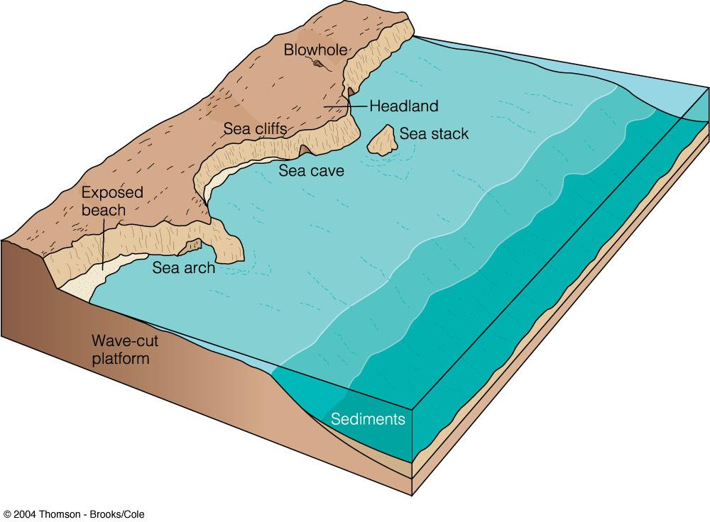 Types of Coasts Erosional Coasts: new coasts in which coastal materials are typically removed by erosion Northern and Central California,
