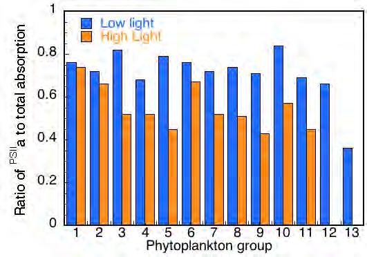 PSII to total absorption For all groups as growth irradiance increases the fraction of light absorbed by PSII decreases At high average irradiance in the mixed layer, satellite measure phytoplankton